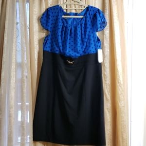Black and Blue Polka Dot Dress